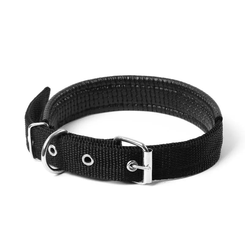 img_3189 Dog Collars for Small, Medium & Large Dogs - Adjustable Nylon Pet Collars with Quick-Release Buckle and Durable Design - Image 1
