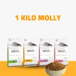 1 kilo dry food molly