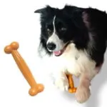 Pet Teether Toy Extra Strong Resistant Dogs 18 cm
