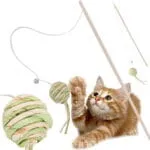 Cat Toy Teasing Wand