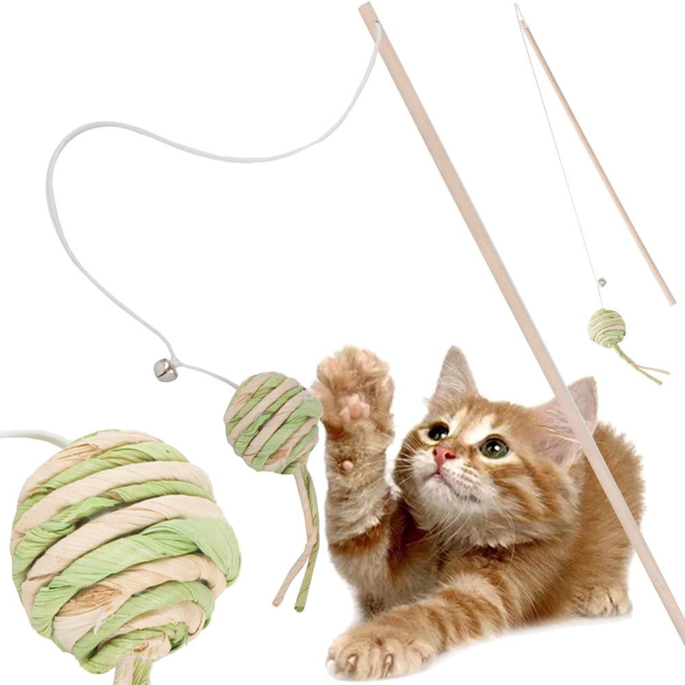 img_0291 Cat Toy Teasing Wand - Image 1