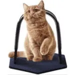 Self-Grooming Toy Kitten Scratch Board With Catnip Beauty Brush Multi-Function Pet Cat